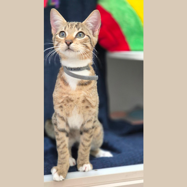 Photo of Molly (8980)