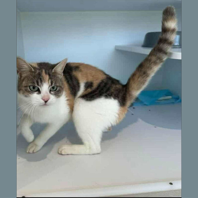 Photo of Jazzi ❤️