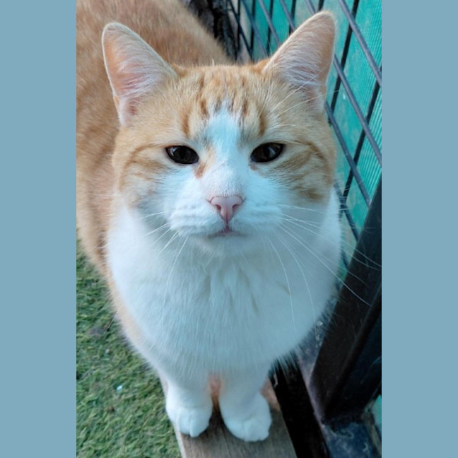 Photo of Jerry