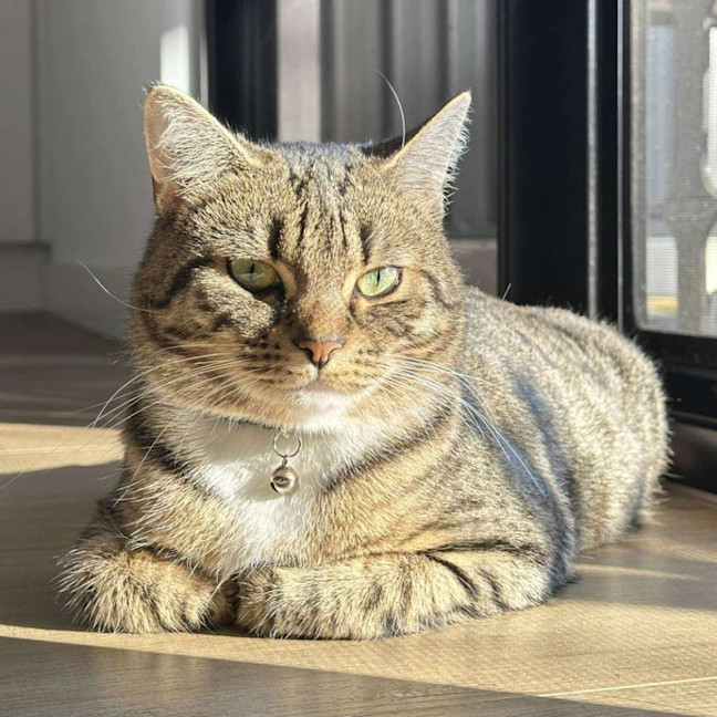 Photo of Tessa