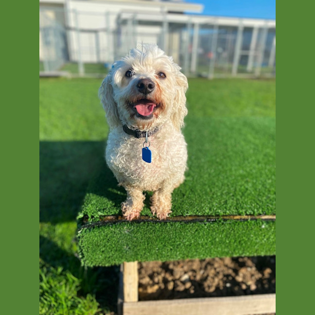 Photo of Bobby