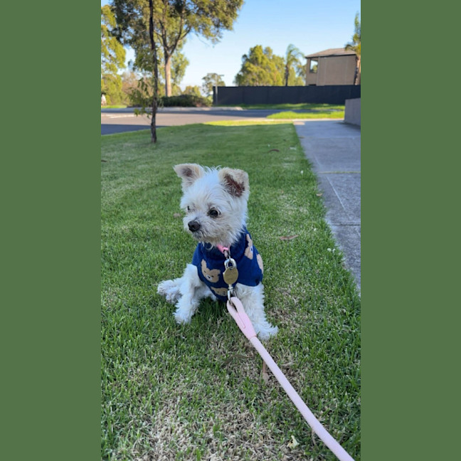 Photo of Fran Drescher