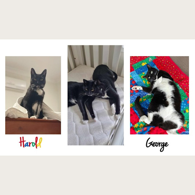 Photo of Harold And George