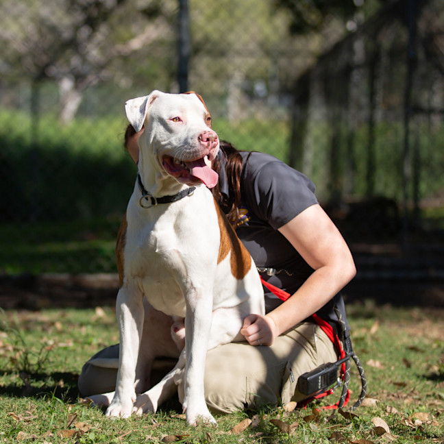Photo of Max