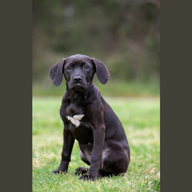 Photo of Beatrice