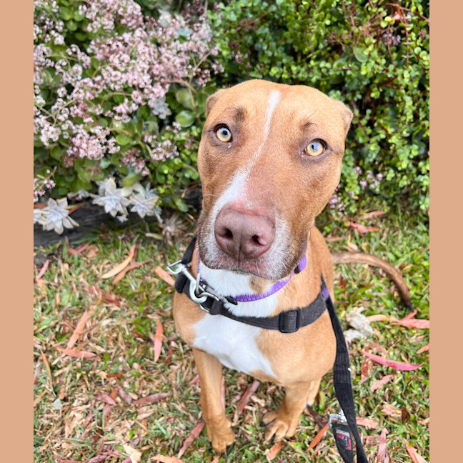 Photo of Ellie