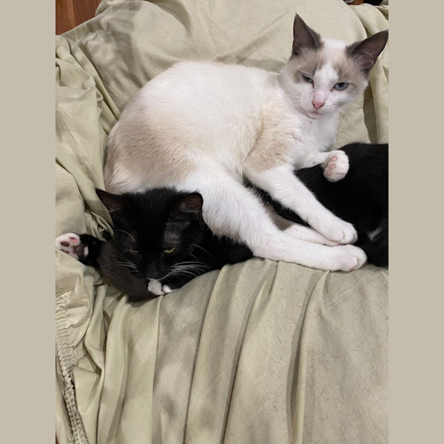 Photo of Zuko & Azula