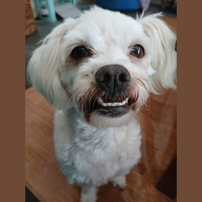 Photo of Miracle
