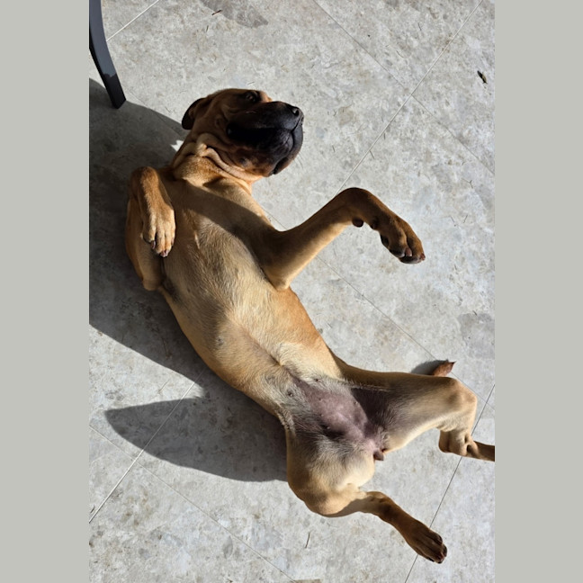 Photo of Wilma