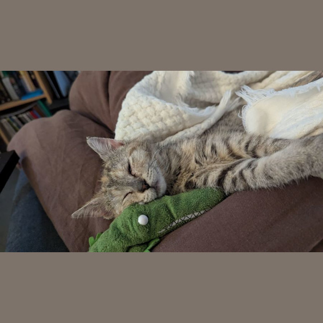 Photo of Mirabella  *Meet Our Certified Heart Stealer*