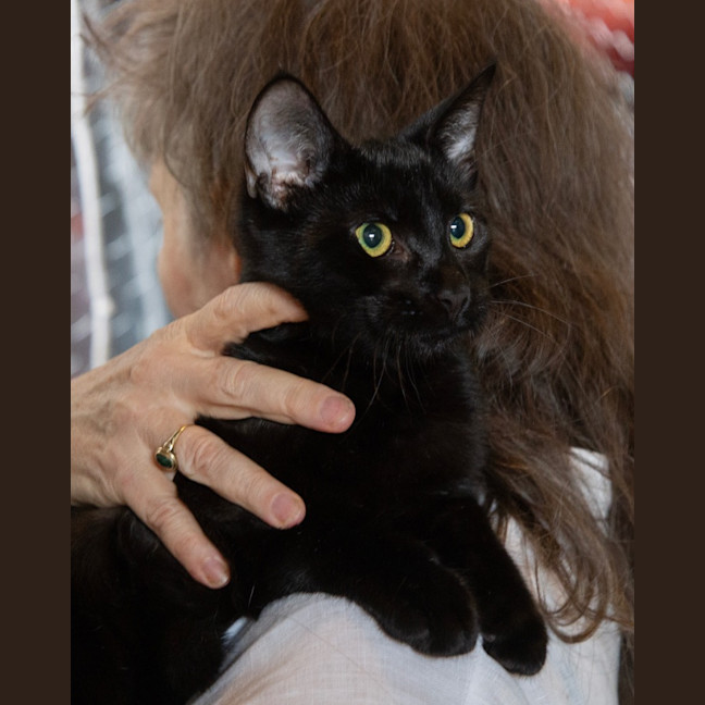 Photo of Nehira