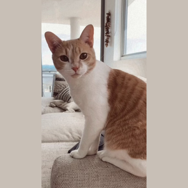 Photo of Moet And Jerry