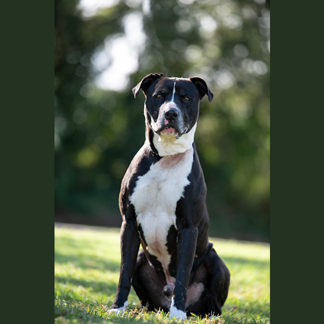 Photo of Jethro