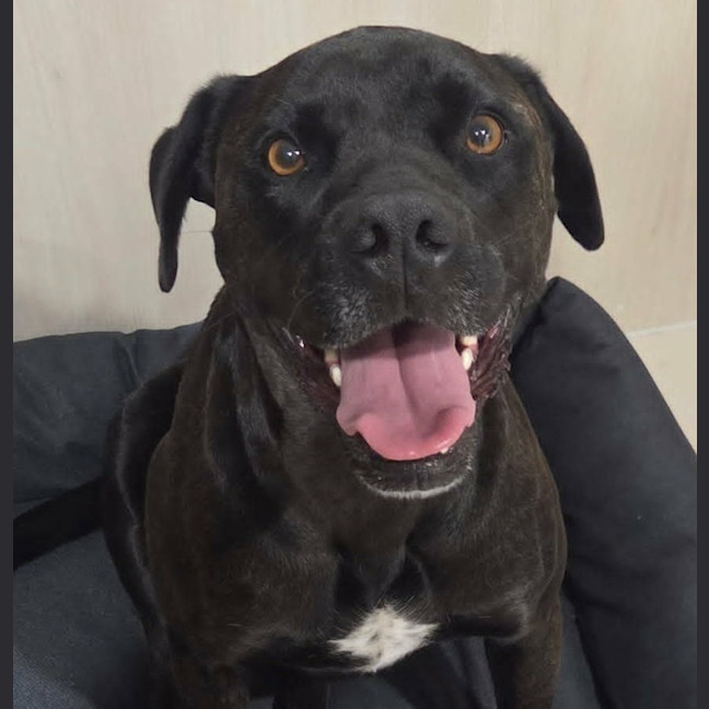 Photo of Zeus