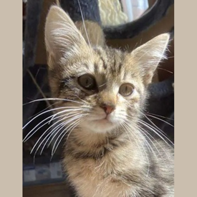 Photo of Winslow