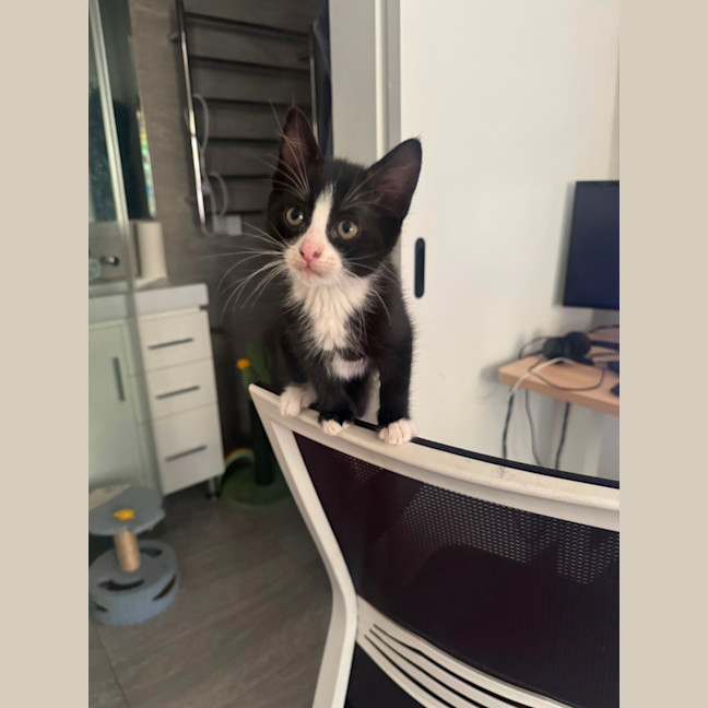 Photo of Daisy