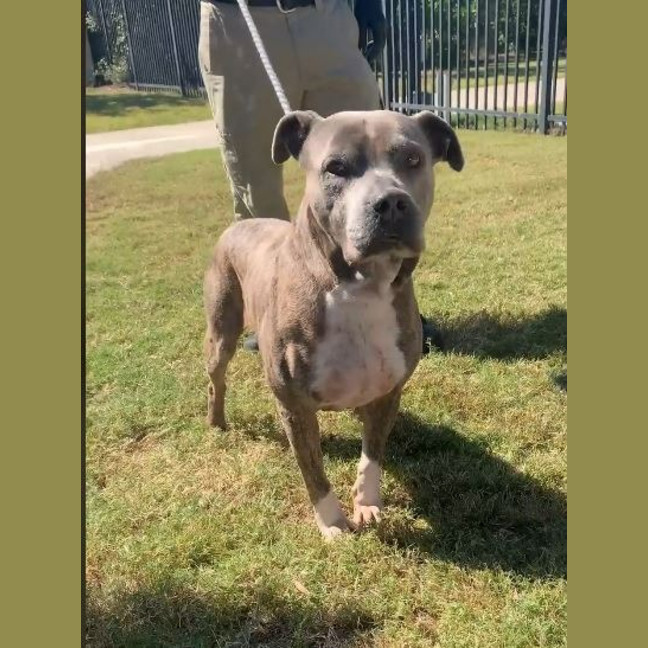 Photo of Kevin (Trevor)