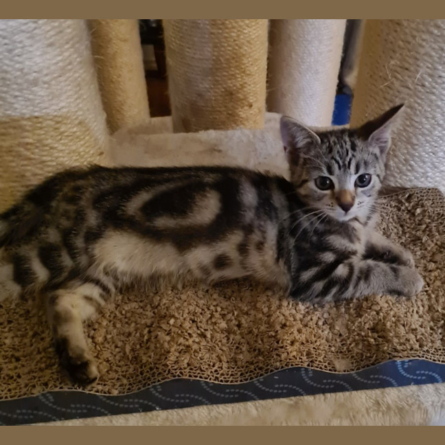 Photo of Ruby