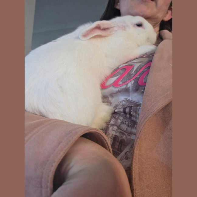 Photo of Gidget 