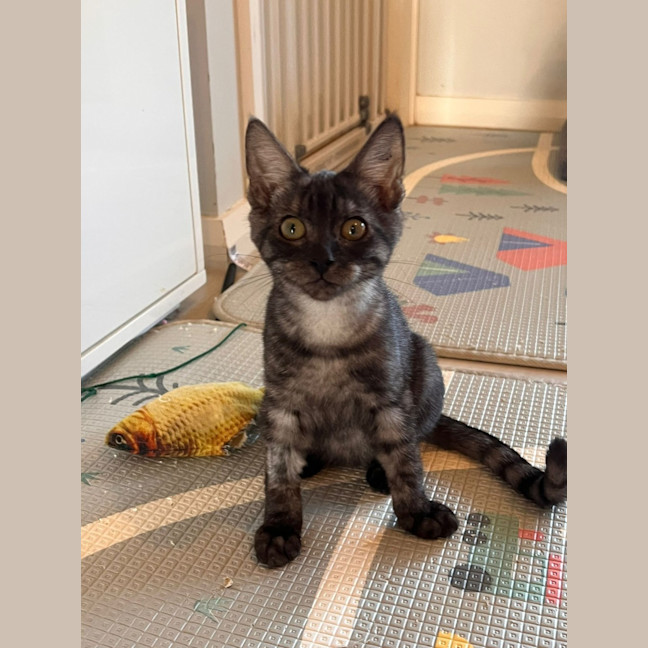 Photo of Louie
