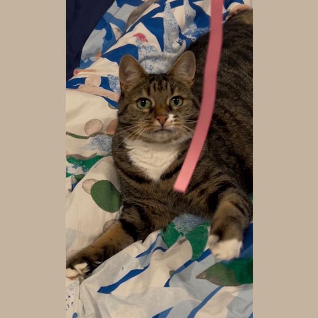 Photo of Lola