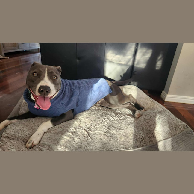 Photo of Lily