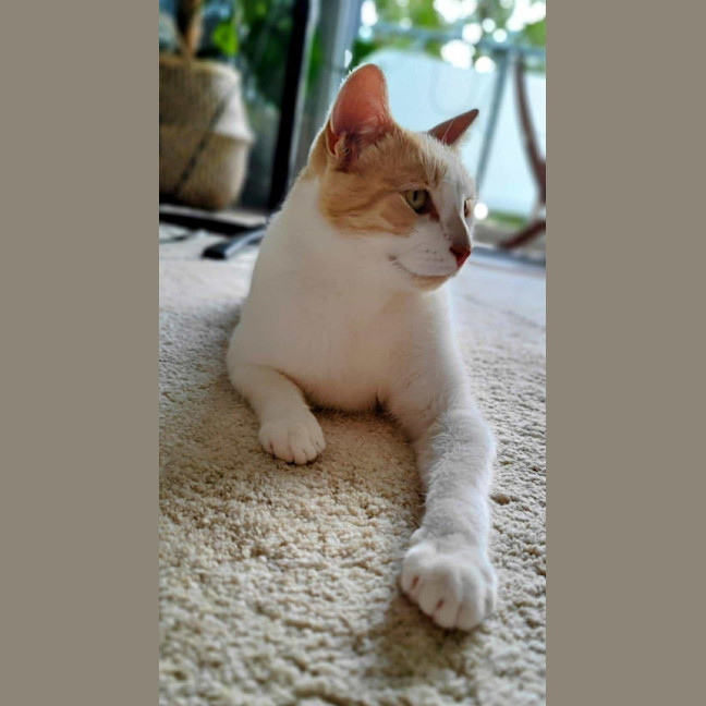 Photo of Ginny