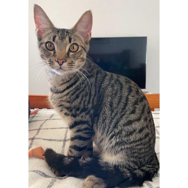 Photo of 12217   Stewart 