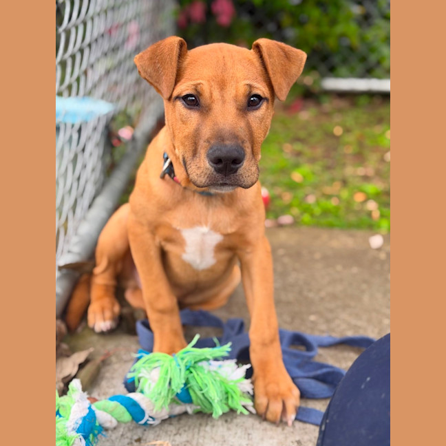 Photo of Charlie