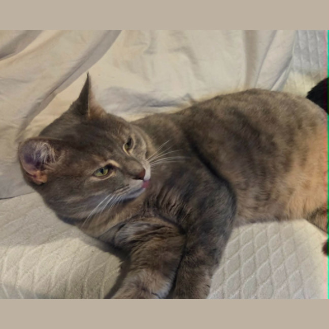 Photo of Luna