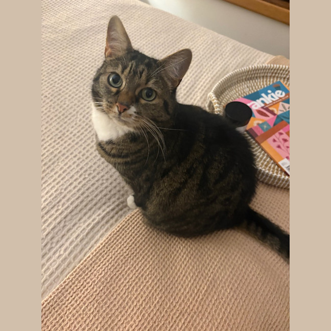 Photo of Lola
