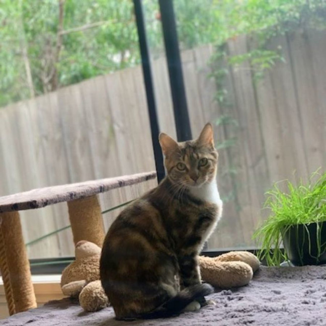 Photo of Maisey 🌹🌹