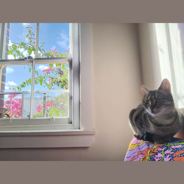 Photo of Lucy