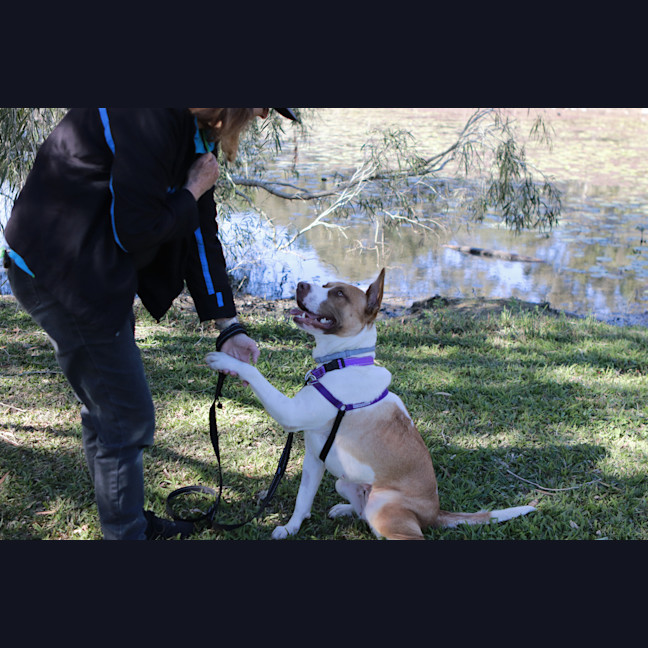 Photo of Bella