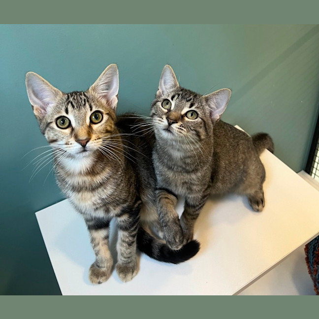 Photo of Tracey And Seaweed