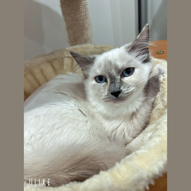 Photo of Elsa