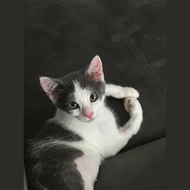 Photo of Amelia 🌺🦋