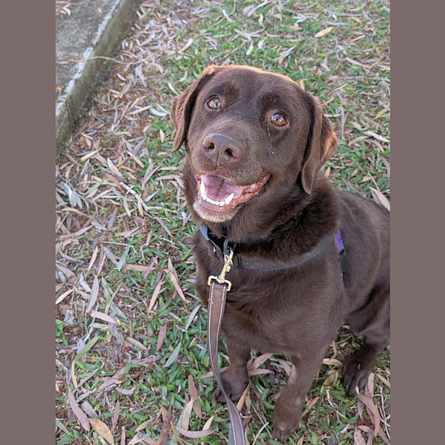 Photo of Luna