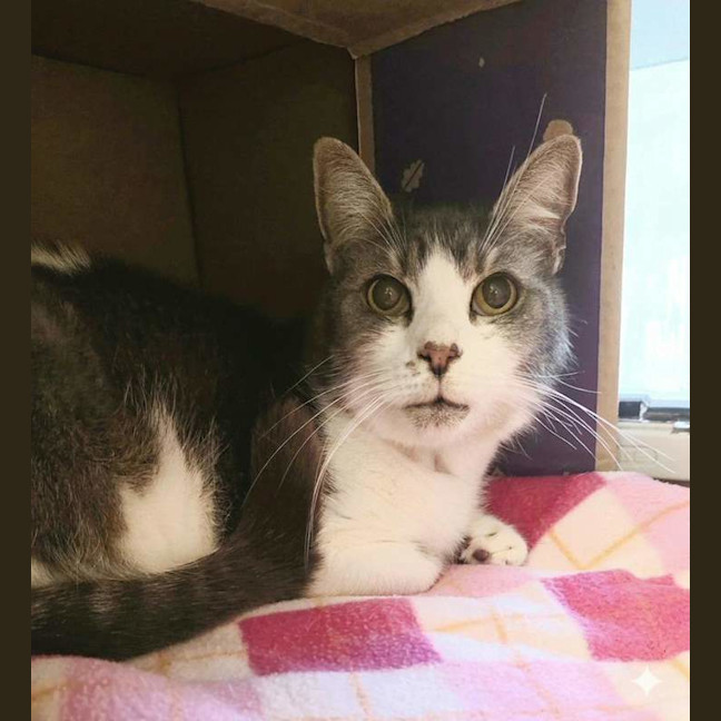 Photo of Bubbah