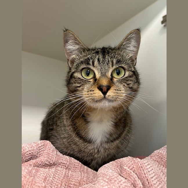 Photo of Mimi