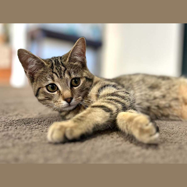 Photo of Donna