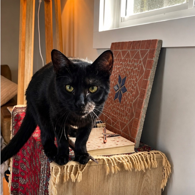Photo of Jaggar