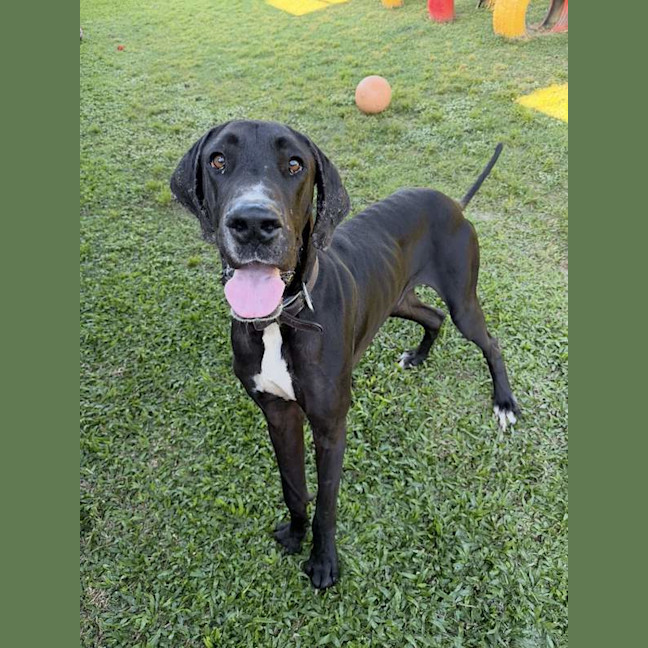 Photo of Hershey