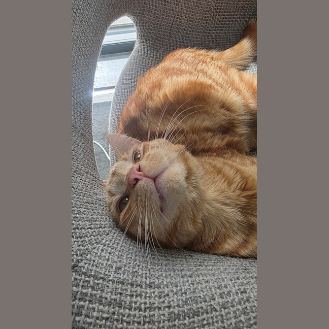 Photo of Alistair