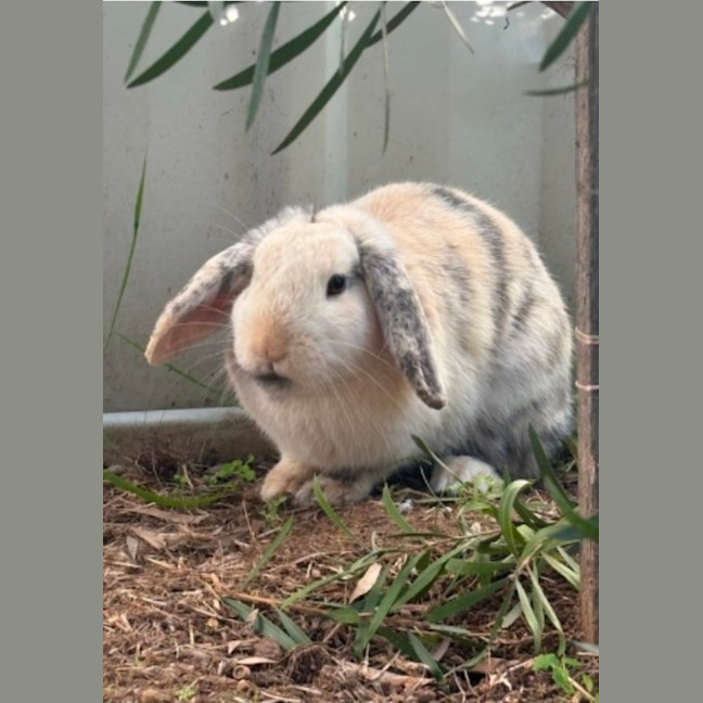 Photo of Dorothy