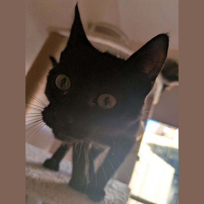 Photo of Buster