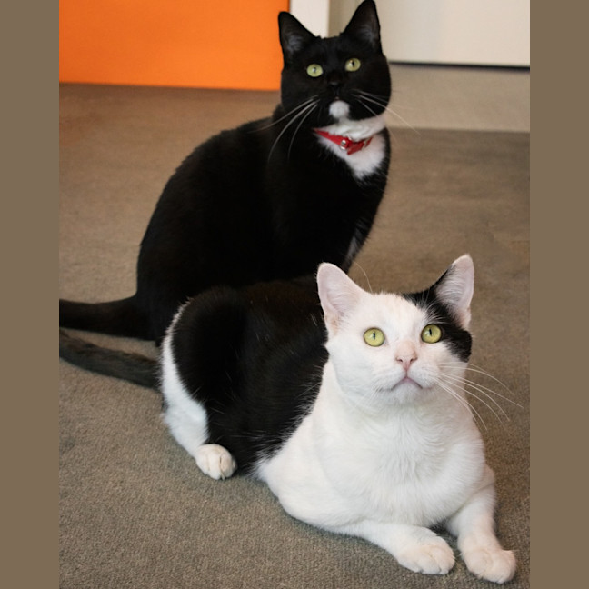 Photo of 🤗 Snugglepants 🤗👖