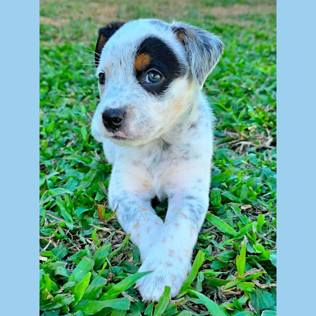 Photo of Peggy
