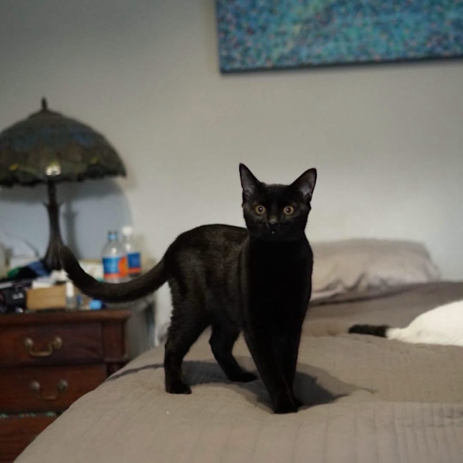 Photo of Klaus