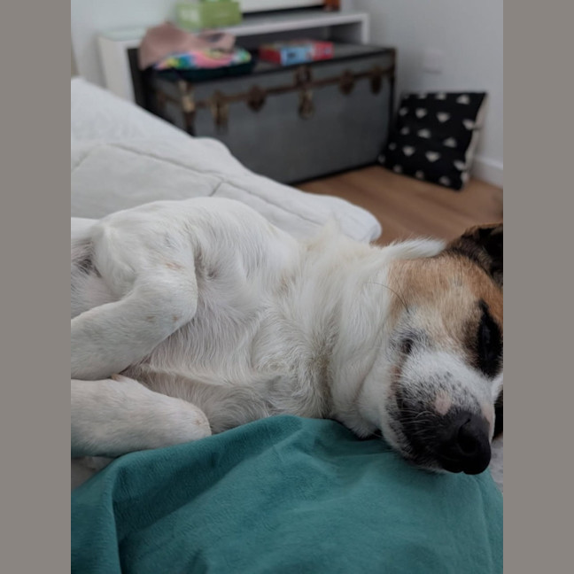 Photo of Bindie